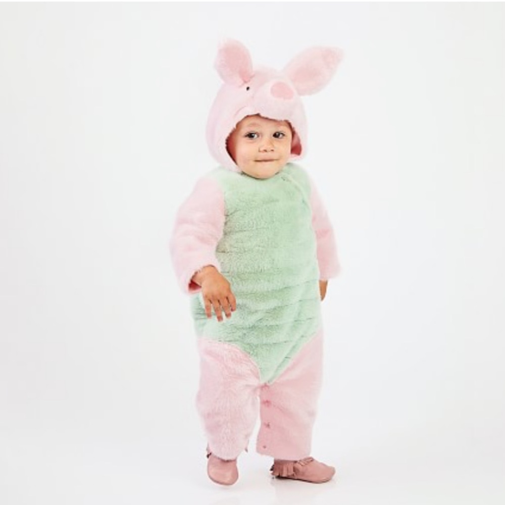 Disney Winnie the Pooh Piglet Baby Costume
